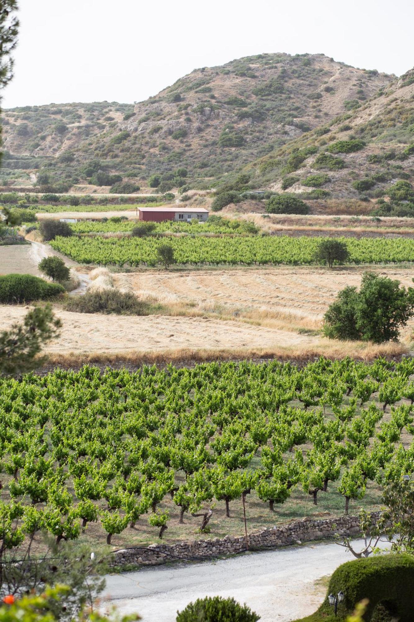 Vina Oliva Resort Pissouri Exterior photo